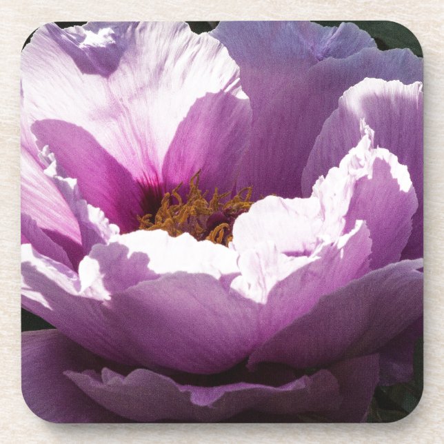 Dessous-de-verre fleur (Devant)