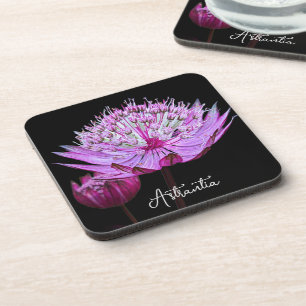 Dessous-de-verre Fleur d'Astrantia rose sur fond floral noir