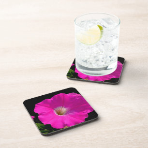 Dessous-de-verre fleur de pétunia rose