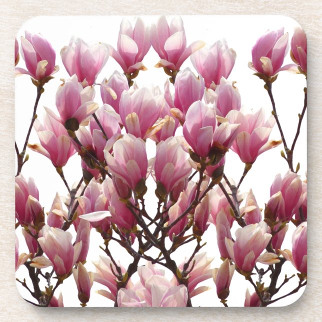 Dessous-de-verre Fleur de printemps rose florissante Magnolias (Devant)