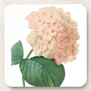 Dessous-de-verre Fleur d'Hortensia rose vintage par Redoute