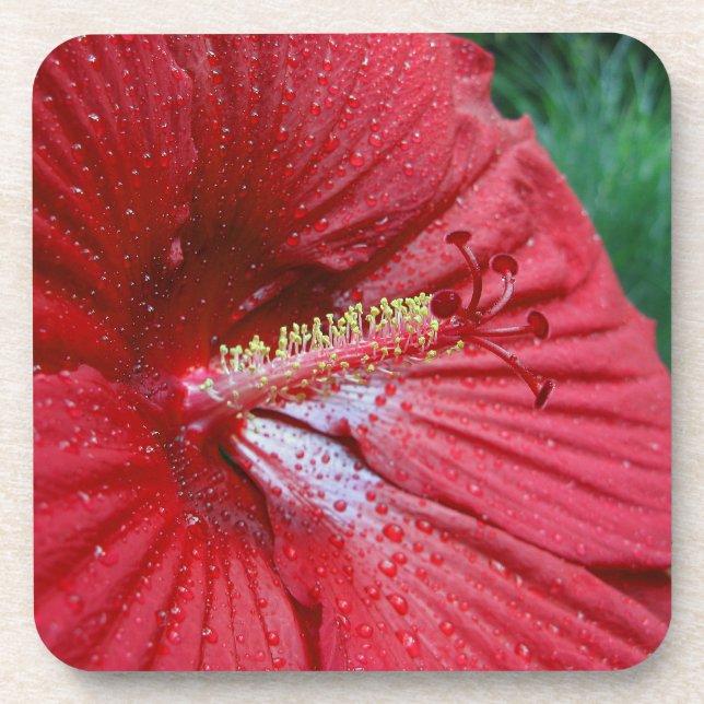 Dessous-de-verre Fleur Hibiscus Rouge Avec Raindrops Photo (Devant)