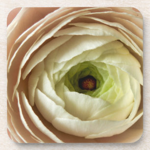 Dessous-de-verre Fleur Ranunculus
