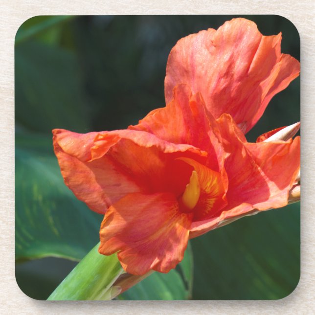 Dessous-de-verre Fleur rouge (Devant)