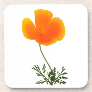 dessous de verre fleur sauvage
