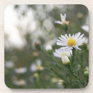 Dessous-de-verre Fleurs