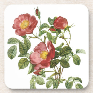 Dessous-de-verre Fleurs Anciennes Fleur Rouge de l'Amour par Redout