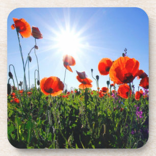 Dessous-de-verre Fleurs de crapets rouges sauvages