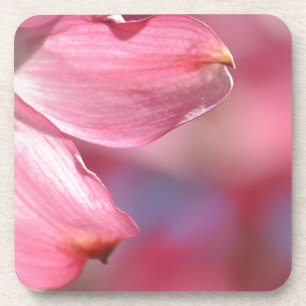 Dessous-de-verre Fleurs de Dogwood Rose