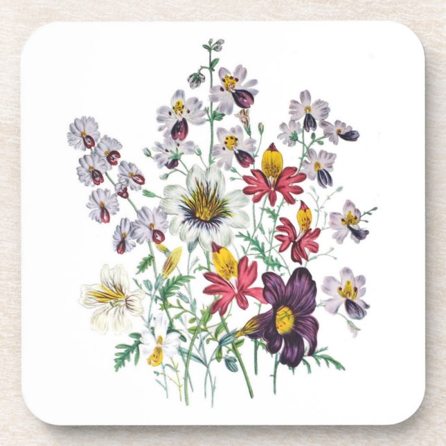 Dessous-de-verre Fleurs de fringes et Fleurs de trompette de velour (Devant)