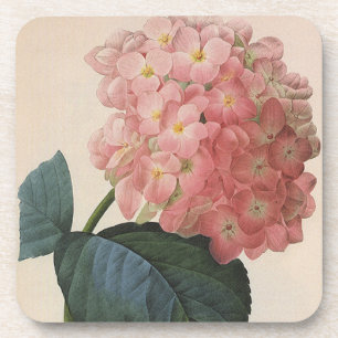 Dessous-de-verre Fleurs de Jardin vintages, Hydrangée Rose Hortensi