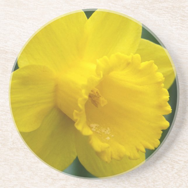Dessous de verre Fleurs de printemps Dessous de ve (Devant)