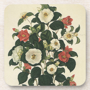 Dessous-de-verre Fleurs de roses de jardin florales vintage