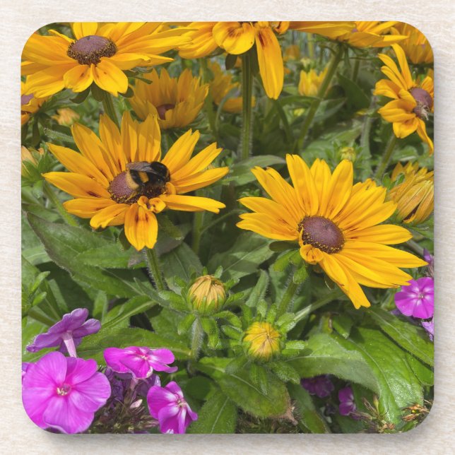Dessous-de-verre Fleurs de Rudbeckia jaune Pink Phlox et abeille (Devant)