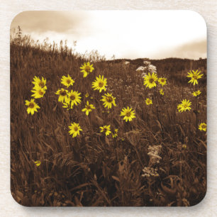 Dessous-de-verre Fleurs de soleil