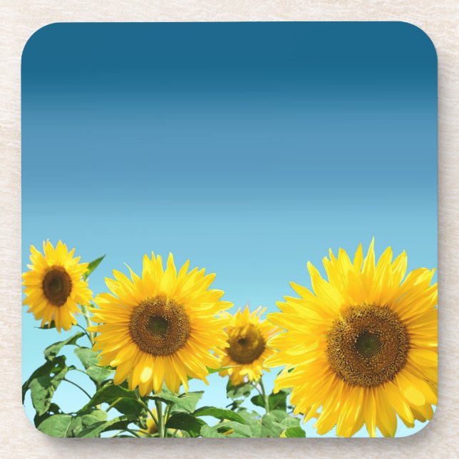 Dessous-de-verre Fleurs de soleil élégantes sur les tons bleu ciel (Devant)