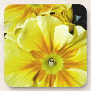 Dessous-de-verre Fleurs d'hibiscus jaunes