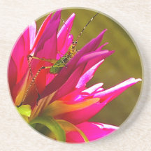 Dessous de verre Fleurs et Amis