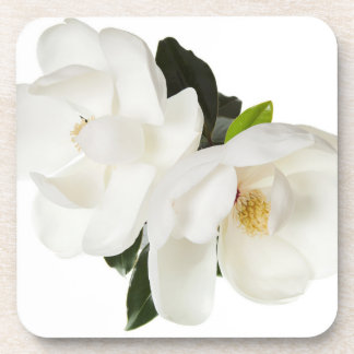 Dessous-de-verre Fleurs florales des Magnolias blancs