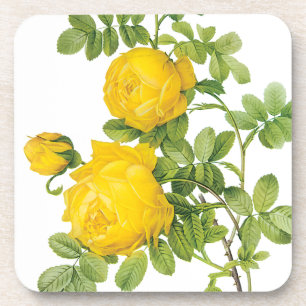 Dessous-de-verre Fleurs florales vintages, Roses jaunes de Redoute