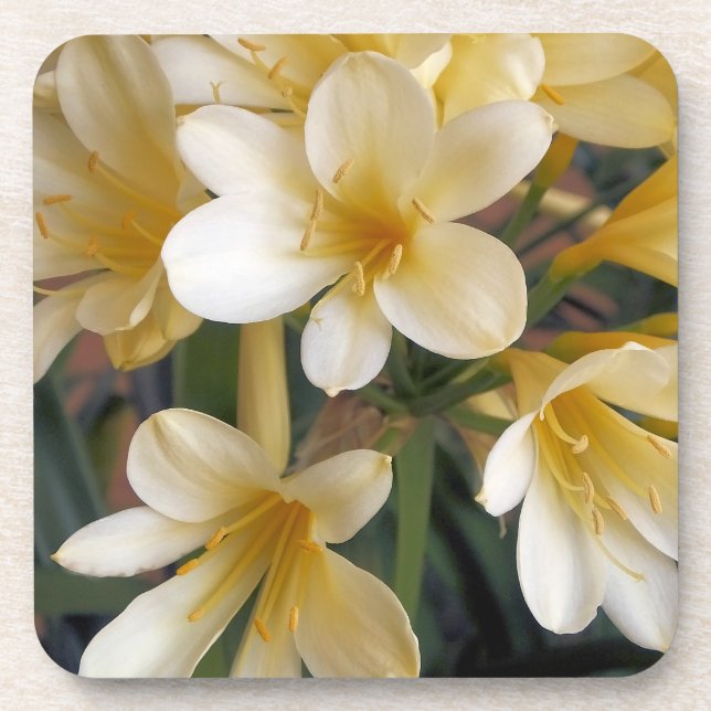 DESSOUS-DE-VERRE FLEURS JAUNES (Devant)