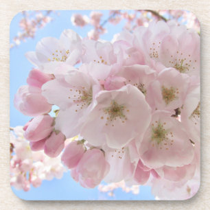 Dessous-de-verre Fleurs roses Ciel Bleu.