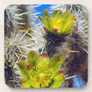 Dessous-de-verre Fleurs sauvages de Cholla Cactus d'argent