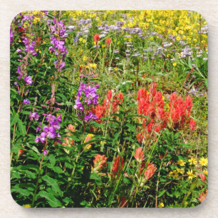 Dessous-de-verre Fleurs sauvages des Rocheuses