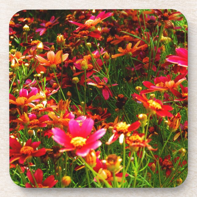 Dessous-de-verre Fleurs sauvages rose et jaune pâle (Devant)