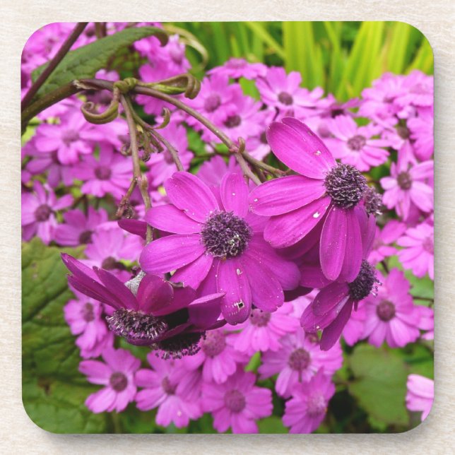 Dessous-de-verre Fleurs violettes de San Francisco (Devant)