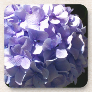 Dessous-de-verre Fleurs violettes hydrageas violets fleuris pourpre