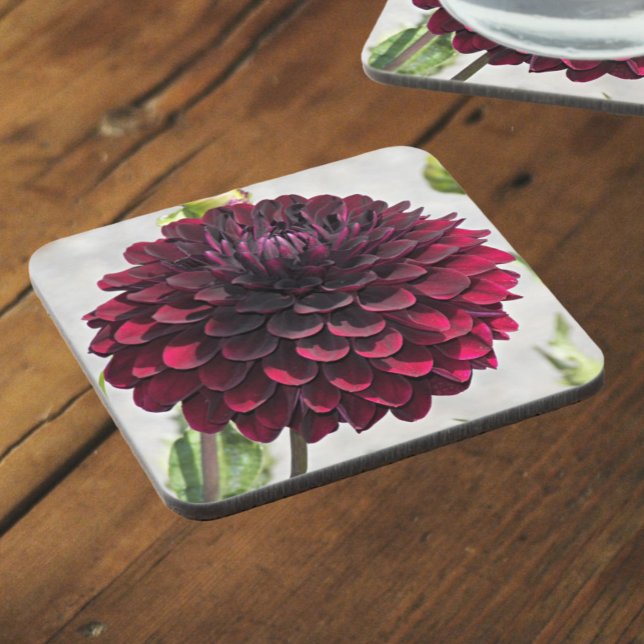 Dessous-de-verre Floral de dahlia rouge foncé (In Situ)