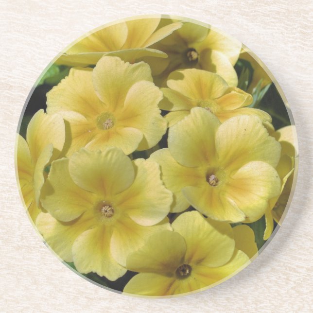 Dessous de verre floral de Primrose jaune (Devant)