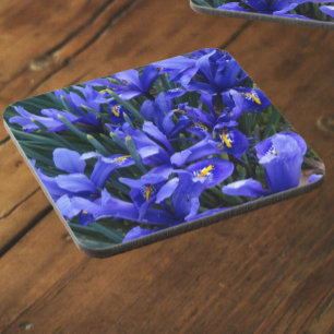 Dessous-de-verre Floral d'Irises réticulées pourpres