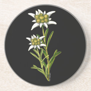 Dessous de verre Floral Edelweiss