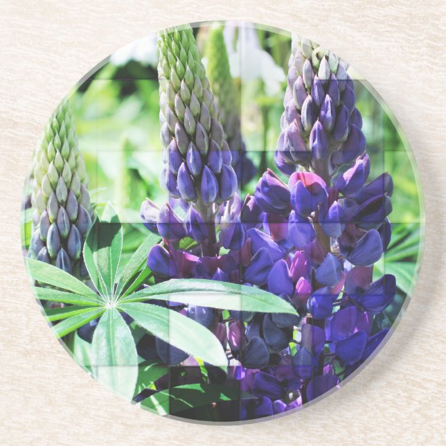 Dessous de verre Floral Lupine violet (Devant)