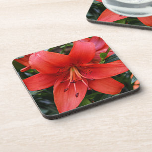 Dessous-de-verre Floral Orange Lily
