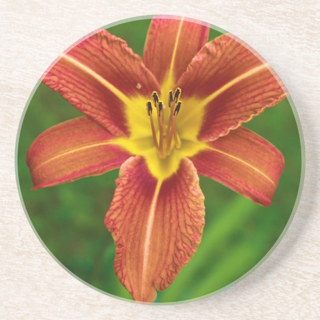 Dessous de verre floraux de boissons (Devant)