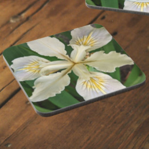 Dessous-de-verre Flore blanche sans ours d'Iris