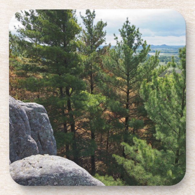 Dessous-de-verre Forest Valley Vue sur Castle Mound (Devant)