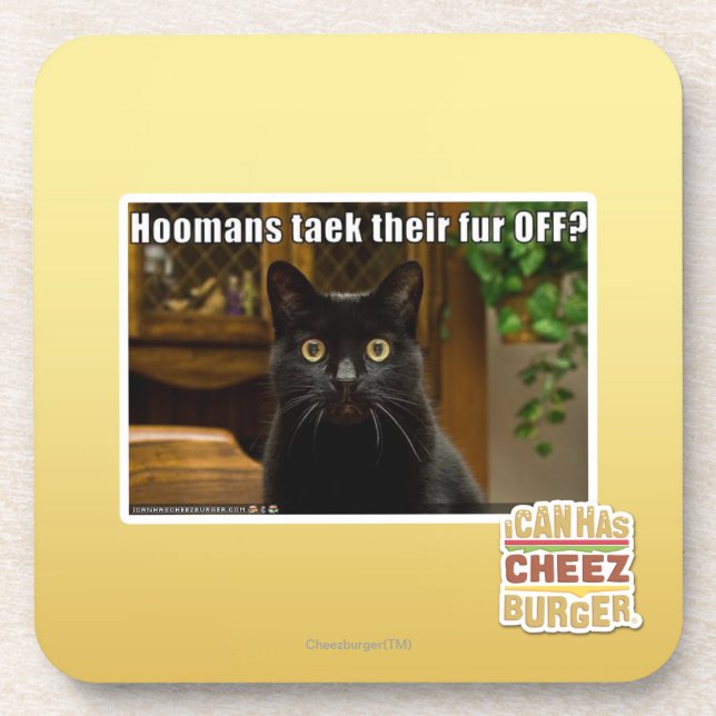 Dessous-de-verre Fourrure de Hoomans Taek là ? (Devant)