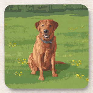 Dessous-de-verre Fox Red Yellow Labrador Retriever Chien