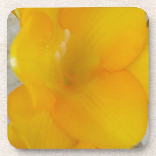 Dessous-de-verre Fresia jaune (Devant)