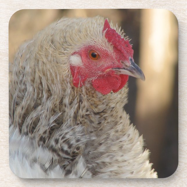 Dessous-de-verre Frizzle Rooster (Devant)