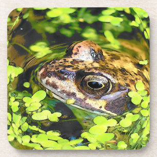 DESSOUS-DE-VERRE FROG