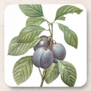 Dessous-de-verre Fruits alimentaires anciens, prunes de jardin viol