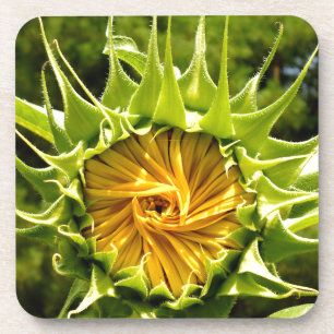 Dessous-de-verre Fun jaune floral tournesol