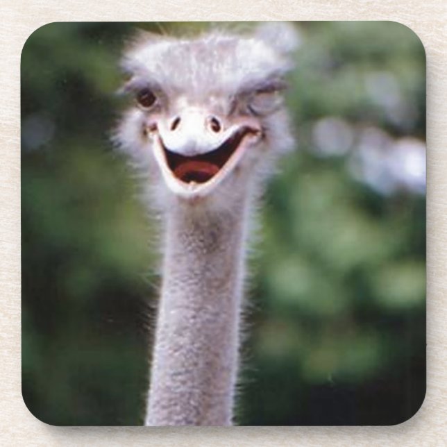 Dessous-de-verre Funny Ostrich (Devant)