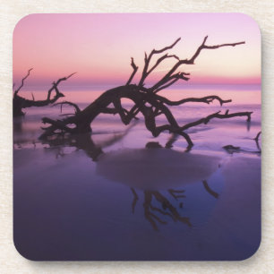 Dessous-de-verre GA Jekyll Island, Cimetière d'arbres sur la plage 