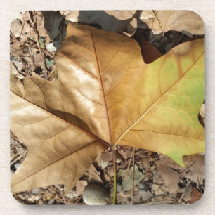 Dessous-de-verre galets et feuilles